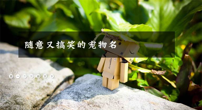 随意又搞笑的宠物名