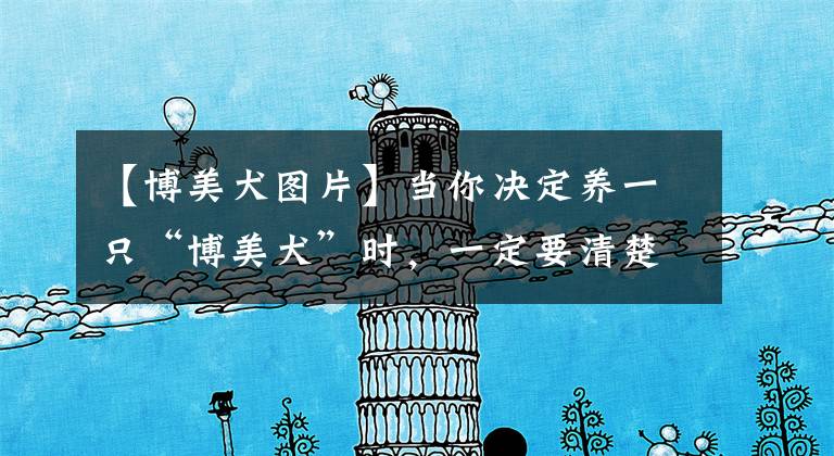 【博美犬图片】当你决定养一只“博美犬”时，一定要清楚这些事