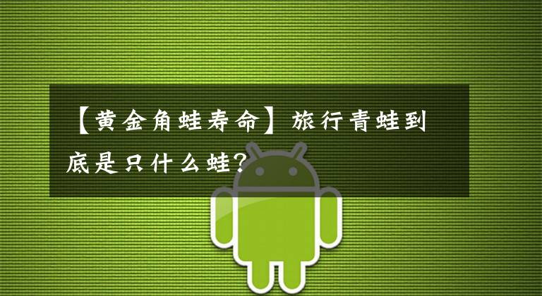 【黄金角蛙寿命】旅行青蛙到底是只什么蛙？