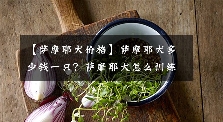 【萨摩耶犬价格】萨摩耶犬多少钱一只？萨摩耶犬怎么训练？