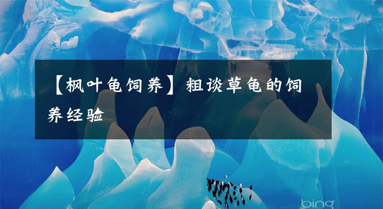 【枫叶龟饲养】粗谈草龟的饲养经验