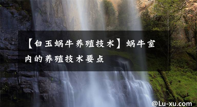 【白玉蜗牛养殖技术】蜗牛室内的养殖技术要点