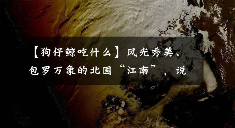 【狗仔鲸吃什么】风光秀美、包罗万象的北国“江南”，说的就是平山东方巨龟苑！