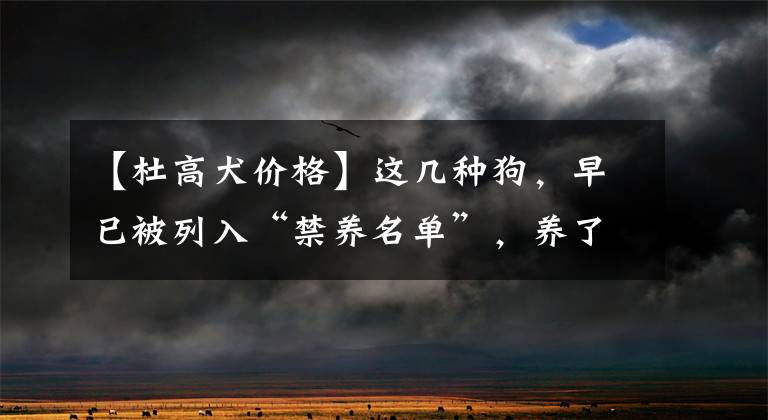 【杜高犬价格】这几种狗，早已被列入“禁养名单”，养了就违法