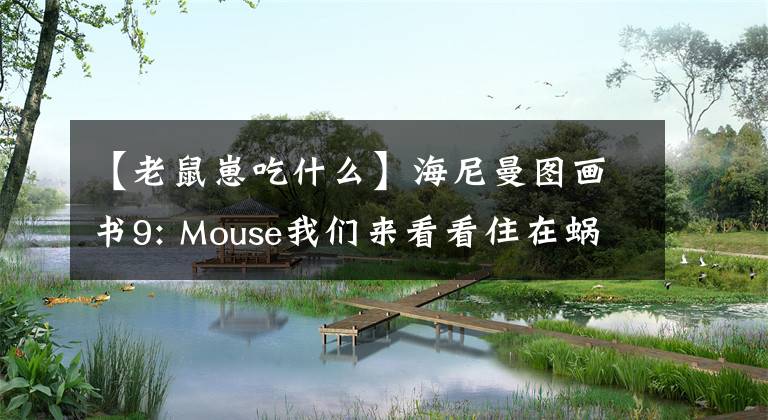 【老鼠崽吃什么】海尼曼图画书9: Mouse我们来看看住在蜗牛家的老鼠们喜欢什么。