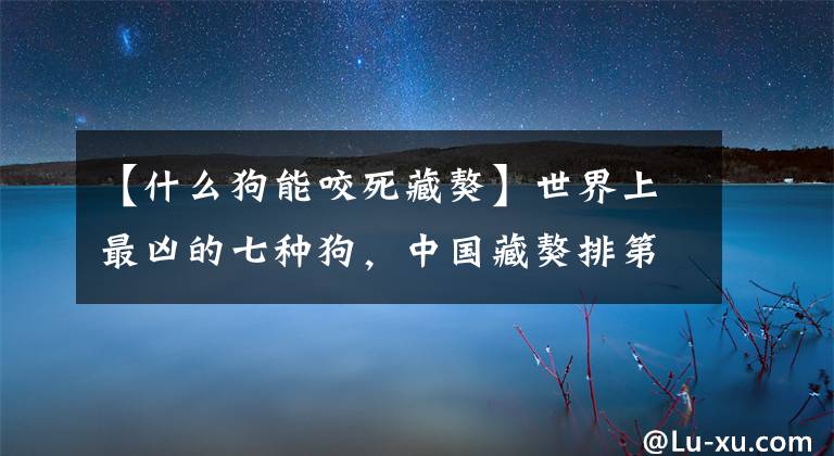 【什么狗能咬死藏獒】世界上最凶的七种狗，中国藏獒排第三，第一位打两头鬣狗都不虚