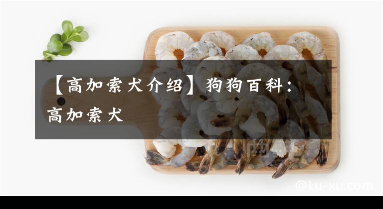 【高加索犬介绍】狗狗百科：高加索犬