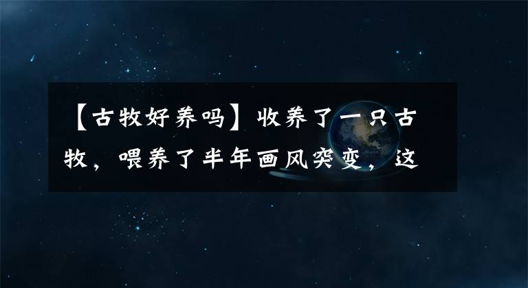 【古牧好养吗】收养了一只古牧，喂养了半年画风突变，这模样太醉人！