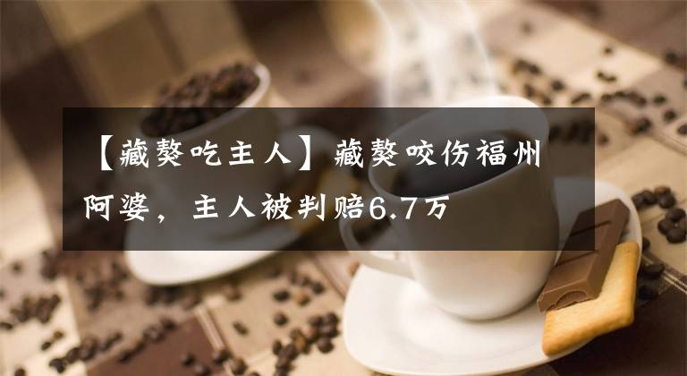 【藏獒吃主人】藏獒咬伤福州阿婆，主人被判赔6.7万