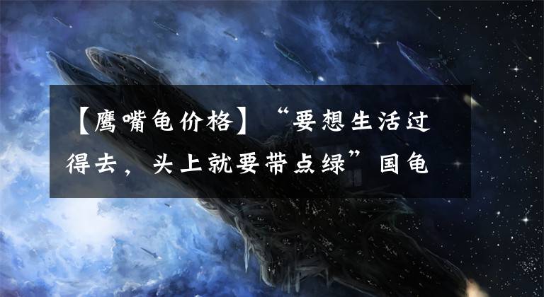 【鹰嘴龟价格】“要想生活过得去，头上就要带点绿”国龟之“绿”——绿毛龟