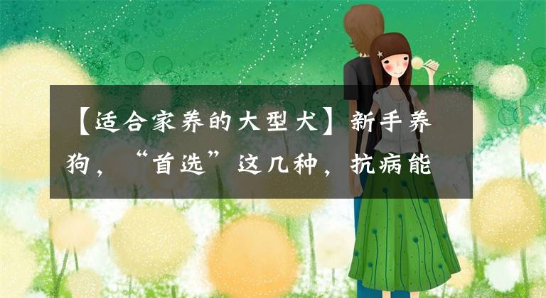【适合家养的大型犬】新手养狗，“首选”这几种，抗病能力强，好养