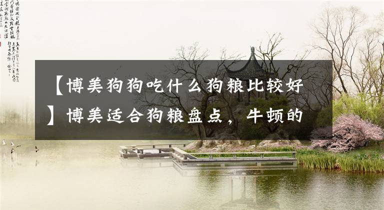 【博美狗狗吃什么狗粮比较好】博美适合狗粮盘点，牛顿的小颗粒性价比高