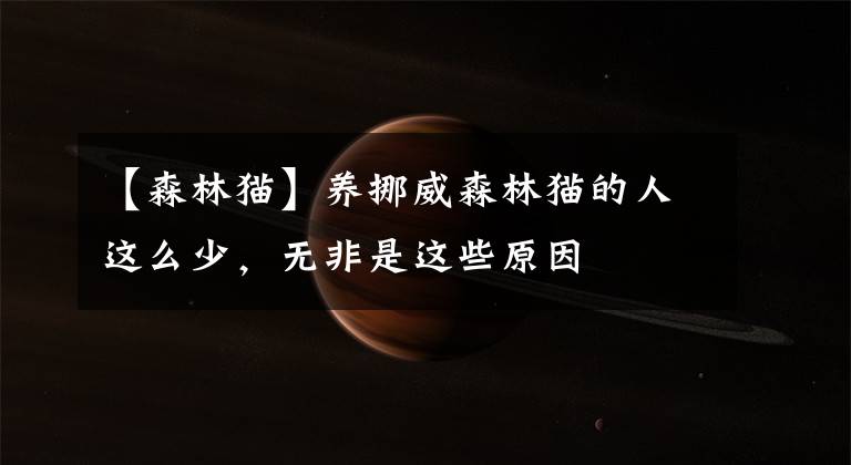 【森林猫】养挪威森林猫的人这么少，无非是这些原因