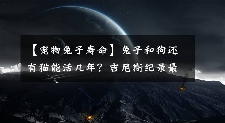 【宠物兔子寿命】兔子和狗还有猫能活几年？吉尼斯纪录最长寿的狗，相当于人200岁
