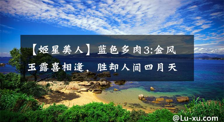 【姬星美人】蓝色多肉3:金风玉露喜相逢，胜却人间四月天！玉蝶 玉露 姬星 特玉莲
