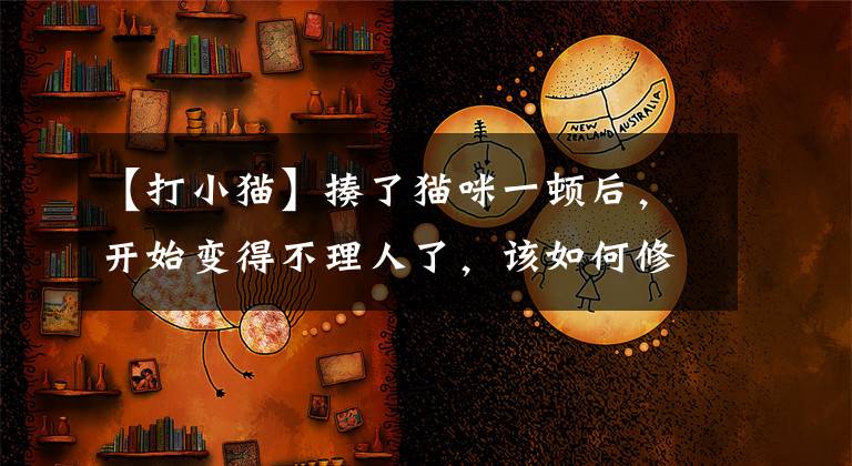 【打小猫】揍了猫咪一顿后，开始变得不理人了，该如何修复和主子的关系？