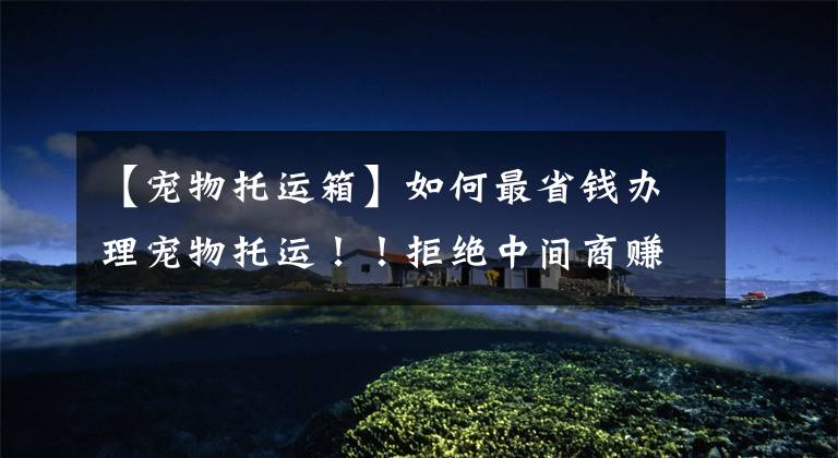 【宠物托运箱】如何最省钱办理宠物托运！！拒绝中间商赚差价