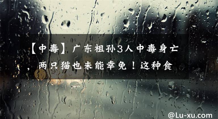 【中毒】广东祖孙3人中毒身亡，两只猫也未能幸免！这种食物不能乱吃