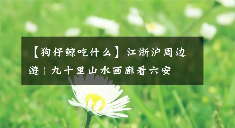 【狗仔鲸吃什么】江浙沪周边游 | 九十里山水画廊看六安