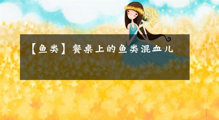 【鱼类】餐桌上的鱼类混血儿