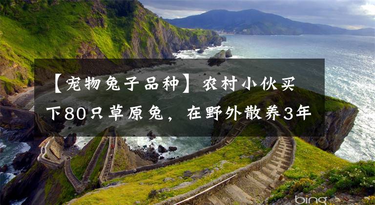 【宠物兔子品种】农村小伙买下80只草原兔，在野外散养3年赚35万元，看有啥秘诀