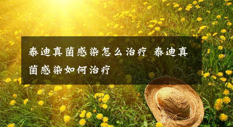 泰迪真菌感染怎么治疗 泰迪真菌感染如何治疗