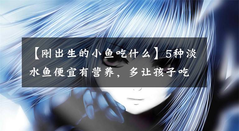 【刚出生的小鱼吃什么】5种淡水鱼便宜有营养，多让孩子吃不仅可以长高，还能够长大脑