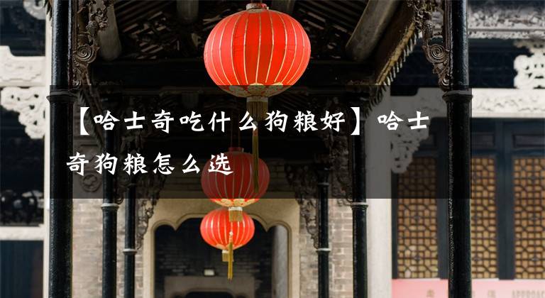 【哈士奇吃什么狗粮好】哈士奇狗粮怎么选