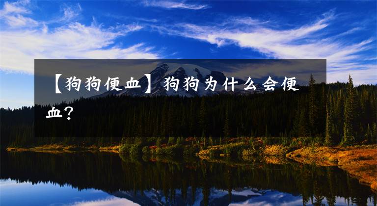 【狗狗便血】狗狗为什么会便血？