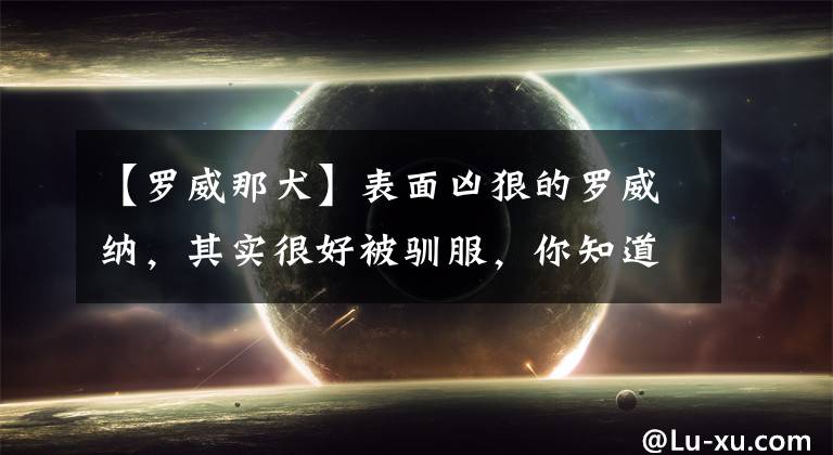 【罗威那犬】表面凶狠的罗威纳，其实很好被驯服，你知道技巧和方法吗？