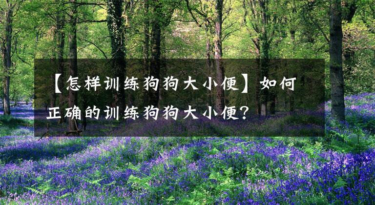 【怎样训练狗狗大小便】如何正确的训练狗狗大小便？