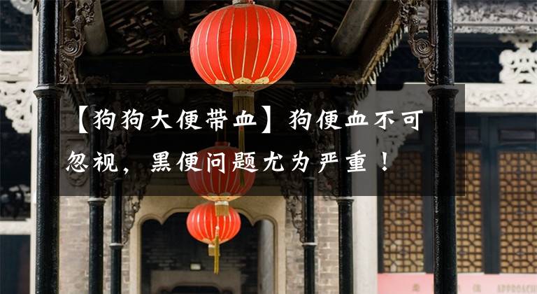 【狗狗大便带血】狗便血不可忽视，黑便问题尤为严重！