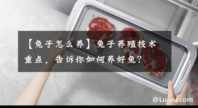 【兔子怎么养】兔子养殖技术重点，告诉你如何养好兔？