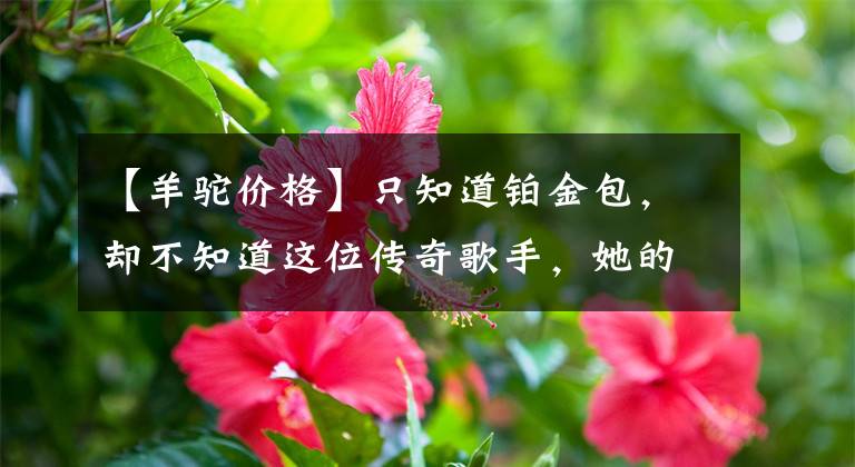 【羊驼价格】只知道铂金包，却不知道这位传奇歌手，她的经历让你佩服