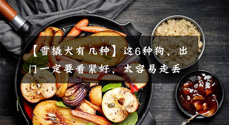 【雪橇犬有几种】这6种狗，出门一定要看紧好，太容易走丢了