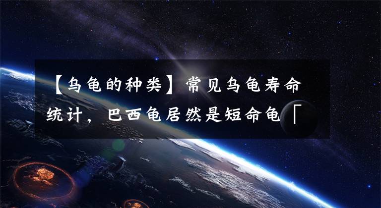 【乌龟的种类】常见乌龟寿命统计，巴西龟居然是短命龟「龟谷鳖老」