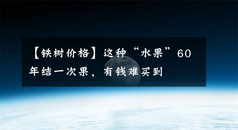【铁树价格】这种“水果”60年结一次果，有钱难买到