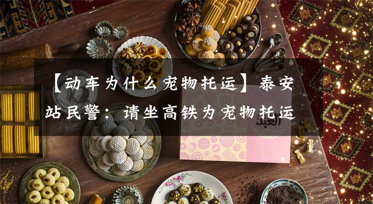 【动车为什么宠物托运】泰安站民警：请坐高铁为宠物托运。