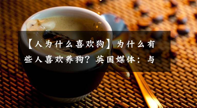 【人为什么喜欢狗】为什么有些人喜欢养狗？英国媒体：与基因组成有关