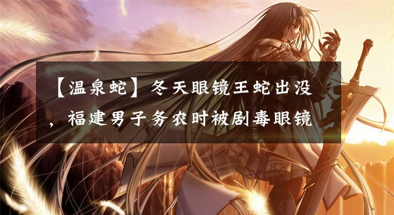 【温泉蛇】冬天眼镜王蛇出没，福建男子务农时被剧毒眼镜王蛇咬伤后生命垂危