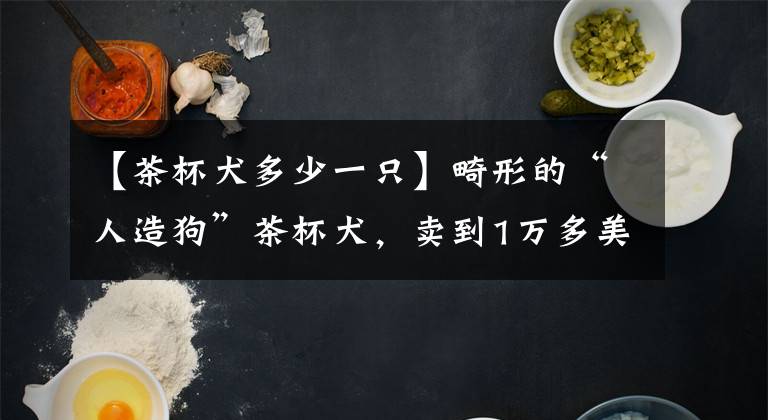 【茶杯犬多少一只】畸形的“人造狗”茶杯犬，卖到1万多美金一只，它们是怎么来的？