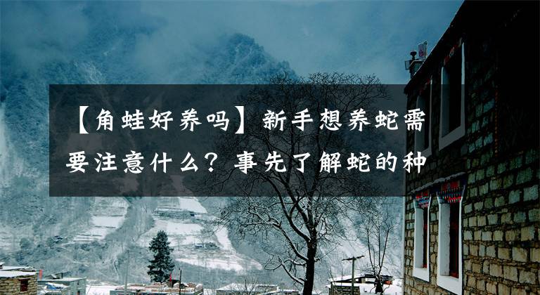 【角蛙好养吗】新手想养蛇需要注意什么？事先了解蛇的种类和生活习性是第一步