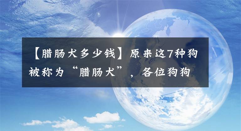 【腊肠犬多少钱】原来这7种狗被称为“腊肠犬”，各位狗狗主人，腊肠犬你们知道吗