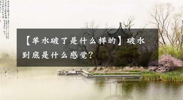 【羊水破了是什么样的】破水到底是什么感觉？