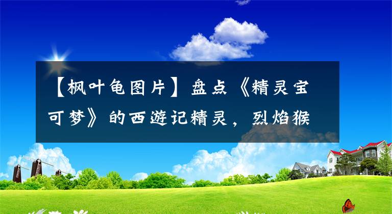 【枫叶龟图片】盘点《精灵宝可梦》的西游记精灵，烈焰猴是孙悟空，唐僧是哪只？