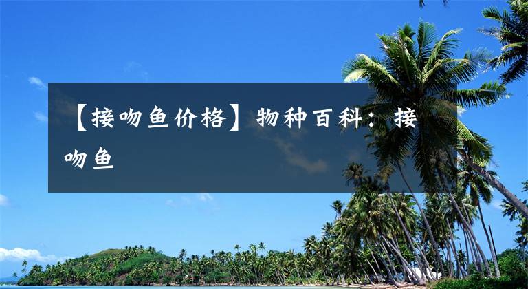 【接吻鱼价格】物种百科：接吻鱼
