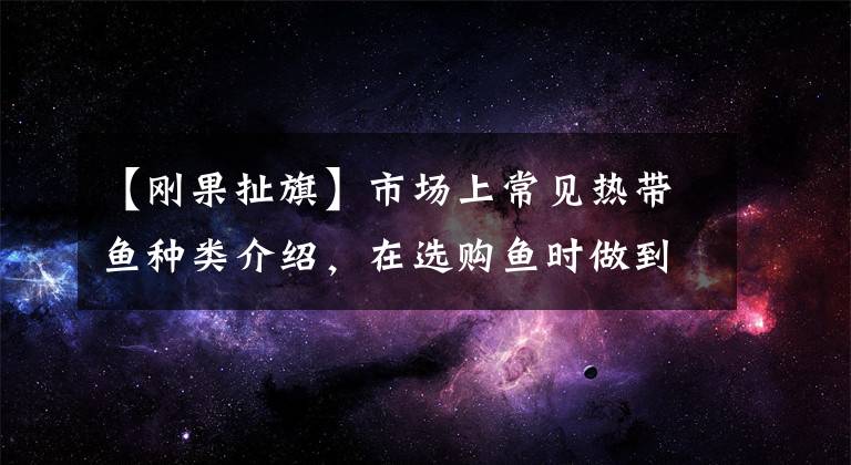 【刚果扯旗】市场上常见热带鱼种类介绍，在选购鱼时做到心中有数。