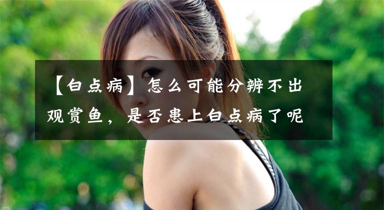 【白点病】怎么可能分辨不出观赏鱼，是否患上白点病了呢？方法很简单