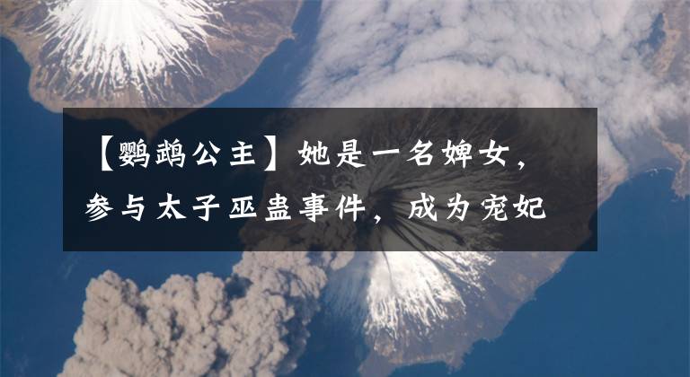 【鹦鹉公主】她是一名婢女，参与太子巫蛊事件，成为宠妃，结局很惨