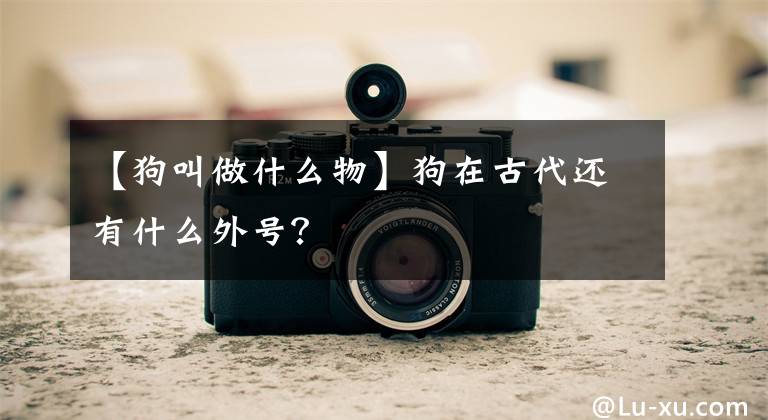 【狗叫做什么物】狗在古代还有什么外号？